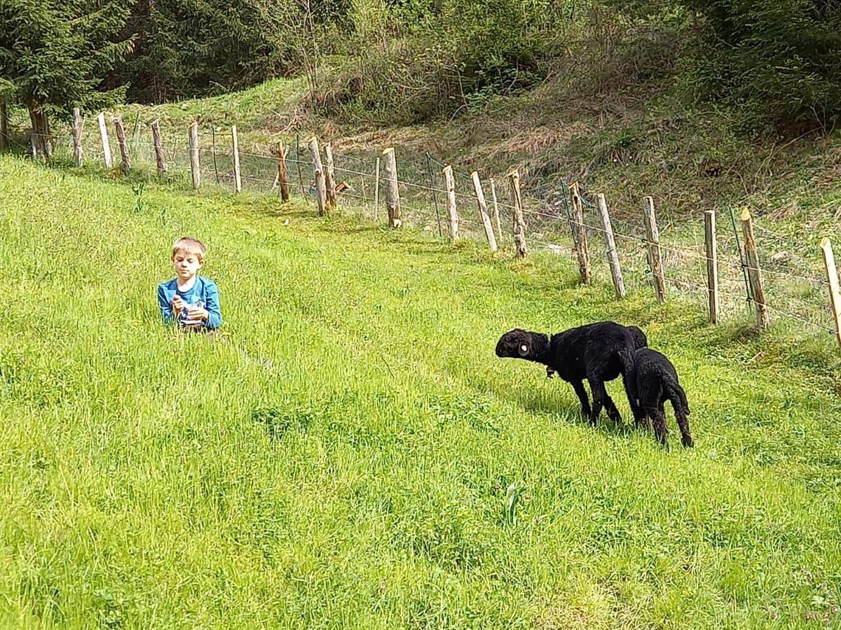 Ferienwohnungen Weberbauer Sankt Martin bei Lofer Exterior foto